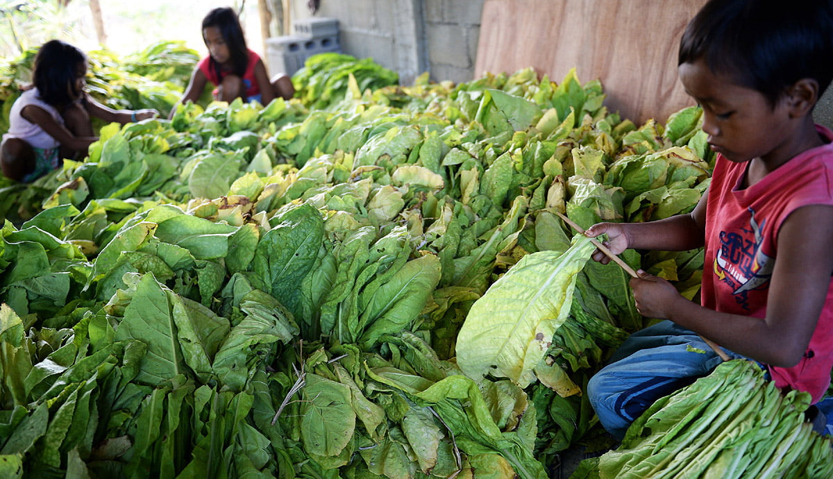 PHILIPPINES-HEALTH-POLITICS-TOBACCO