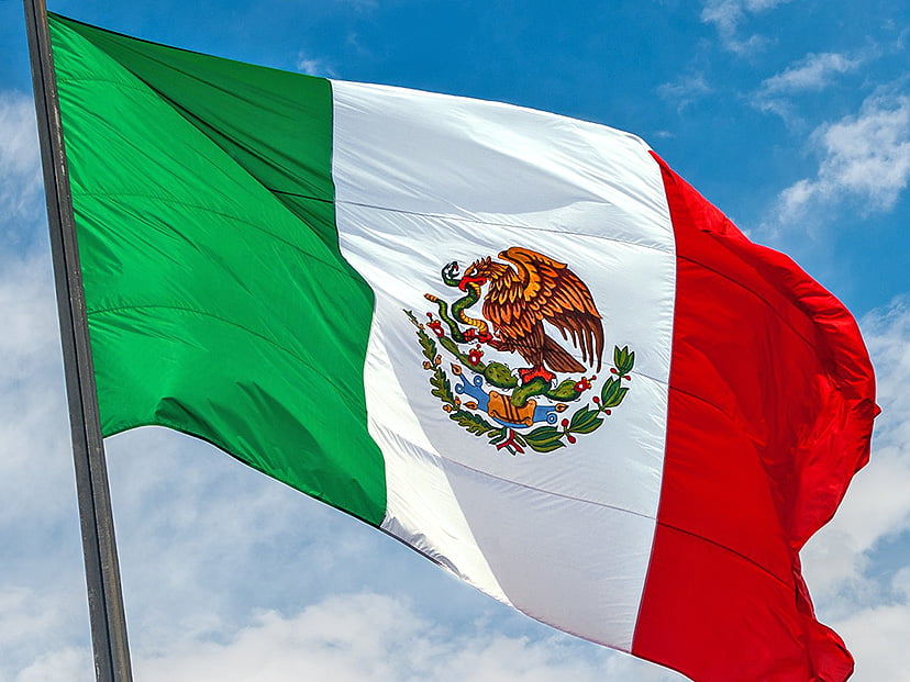 bandera_mexico_ST (1)