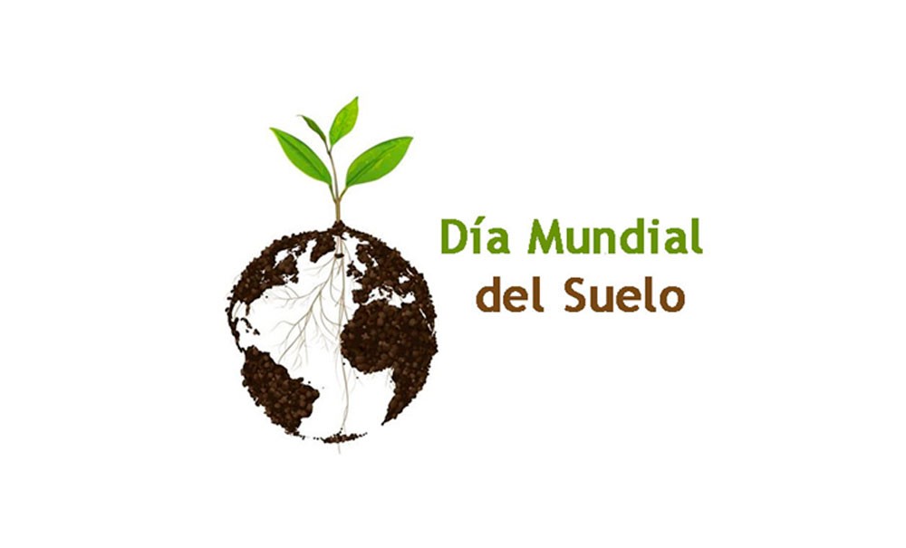 Dia Mundial Del Suelo Diembre 2021