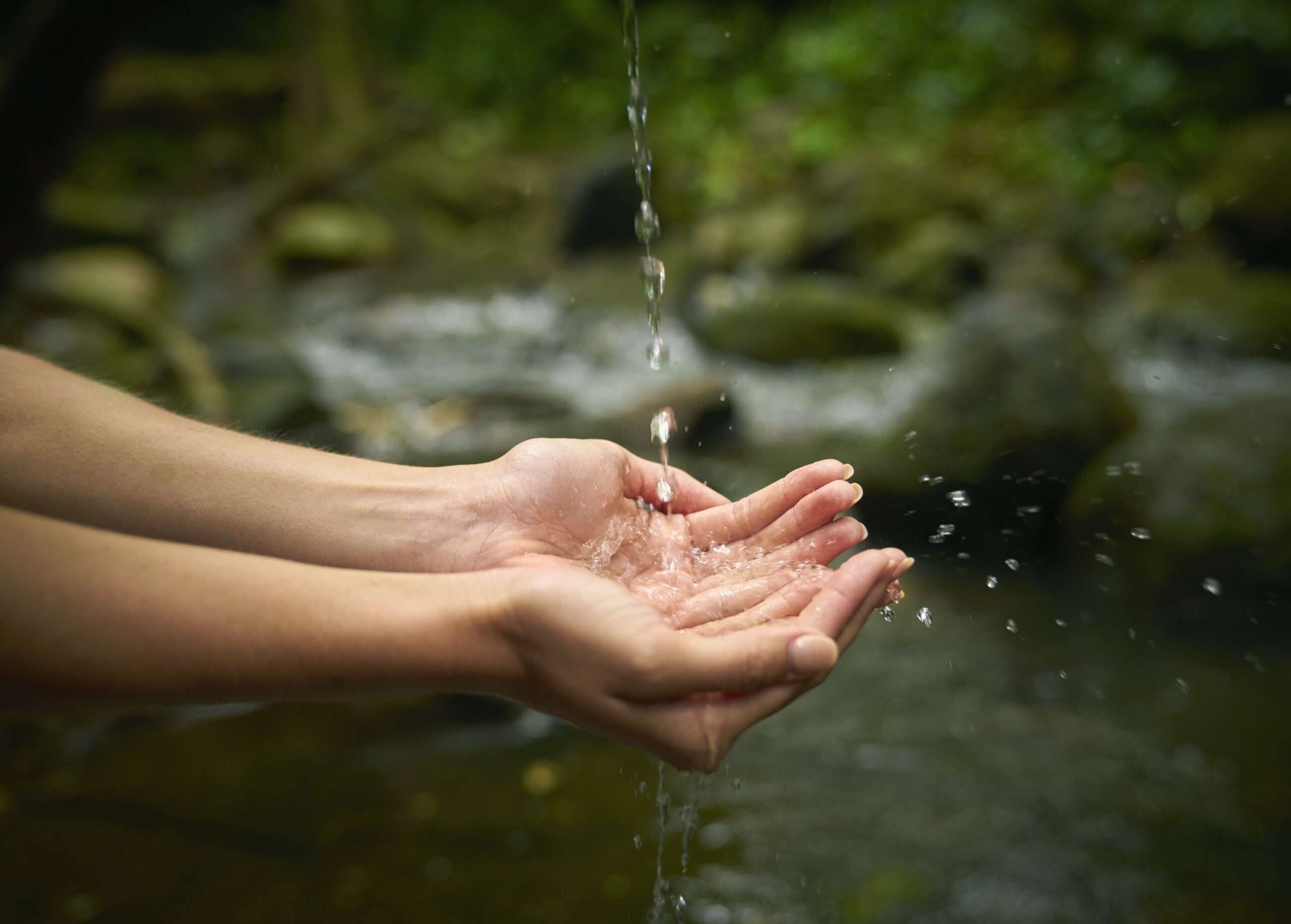 22 Marzo Día Mundial Del Agua