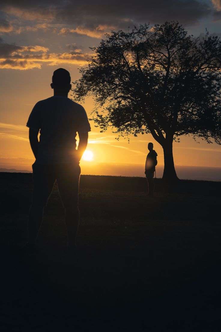 People Standing Near Tree At Sunset