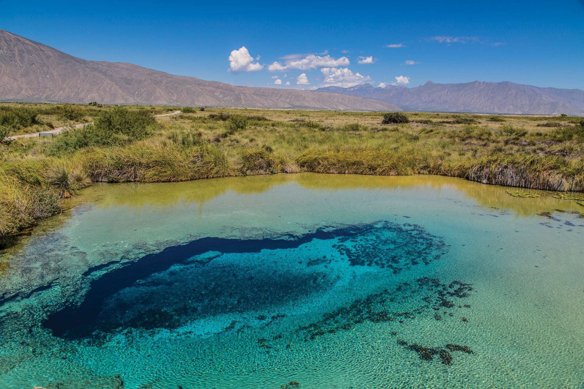 Poza Azul